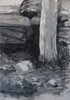 Bush drawing