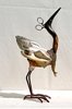 Scissor headed Herron